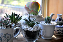 05/10/25 2-4pm Mom & Me Tea Party