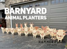 05/16/26 Saturday 11am THEY'RE BACK Barnyard Planters