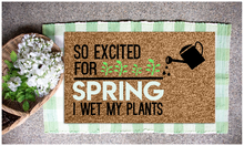 Friday 03/20/26 - 5:30pm - Spring Doormats